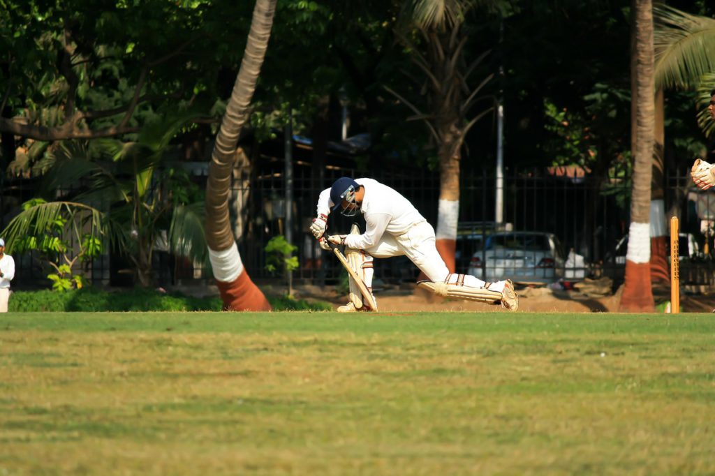 cricket, batting, sports